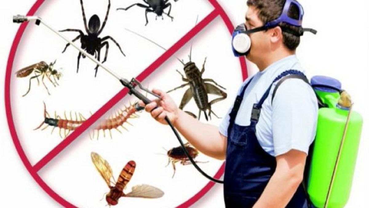 Altınözü böcek ilaçlama uygulama sonrası